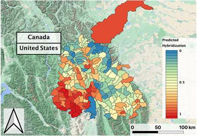 Testing a Generalizable Machine Learning Workflow for Aquatic Invasive Species on Rainbow Trout (Oncorhynchus mykiss) in Northwest Montana